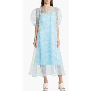 Dressed in LALA Blue Sheer Midi Dress